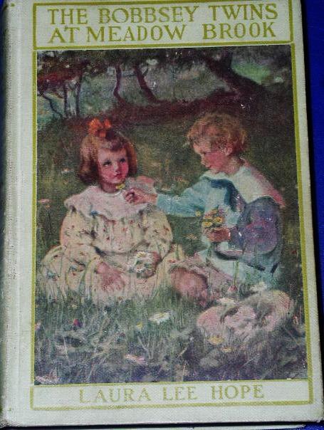 The Bobbsey Twins At Meadow Brook