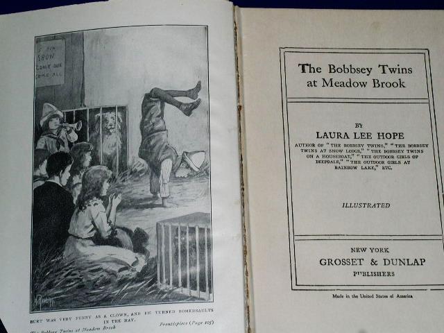 The Bobbsey Twins At Meadow Brook