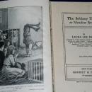 The Bobbsey Twins At Meadow Brook