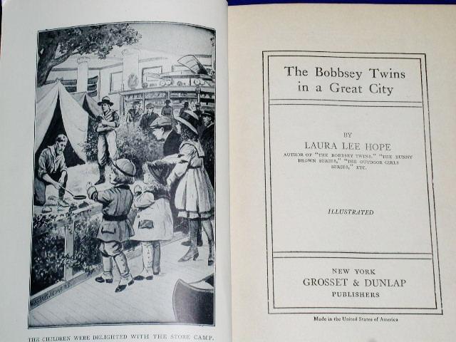 The Bobbsey Twins In A Great City