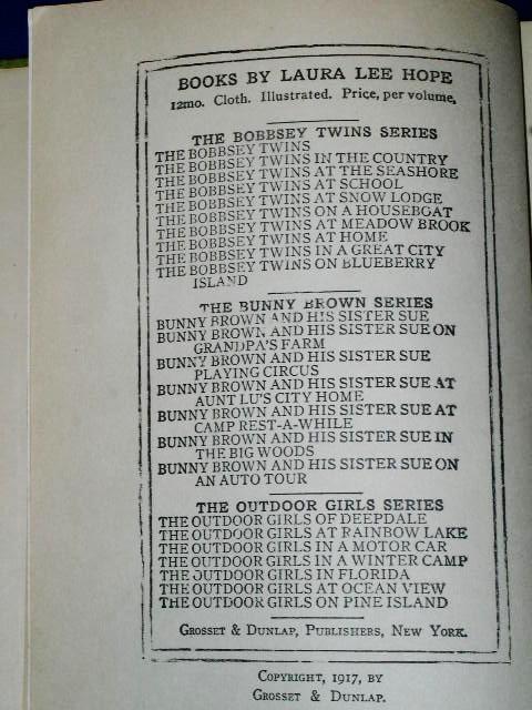 The Bobbsey Twins In A Great City