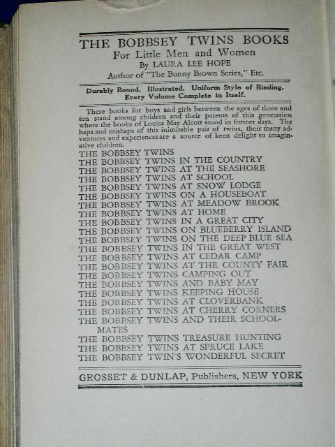 The Bobbsey Twins In A Great City