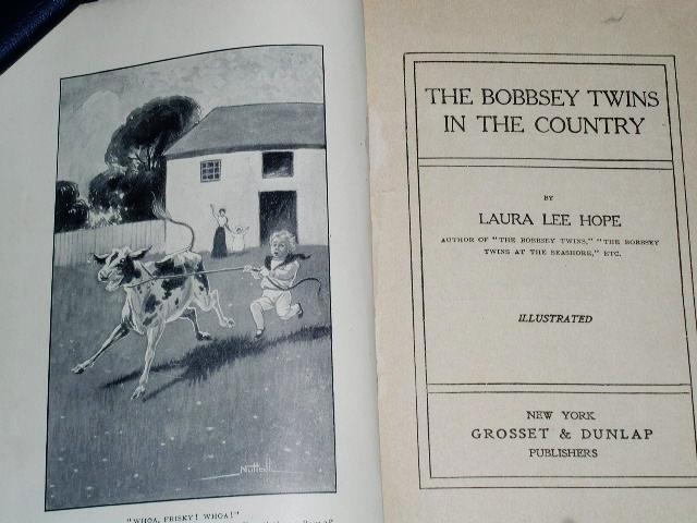 The Bobbsey Twins In The Country