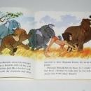 The Jungle Book, Disney Childs Record and Book