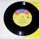 The Jungle Book, Disney Childs Record and Book