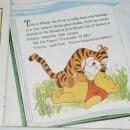 Winnie the Pooh and Tigger Too, Disney Childs Record and Book