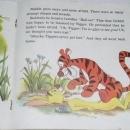 Winnie the Pooh and Tigger Too, Disney Childs Record and Book