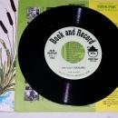 The Ugly Duckling, Peter Pan Childs Record and Book