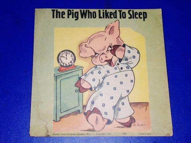 The Pig Who Liked To Sleep Children's Book