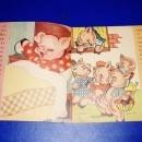 The Pig Who Liked To Sleep Children's Book