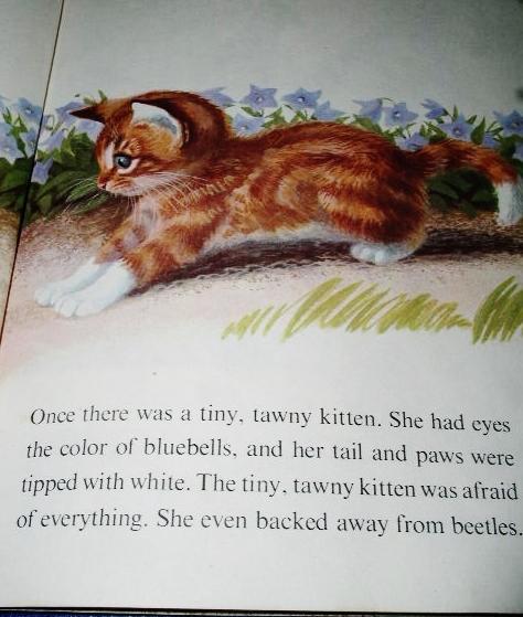 The Tiny, Tawny Kitten, Little Golden Book - 1st Printing