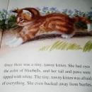 The Tiny, Tawny Kitten, Little Golden Book - 1st Printing