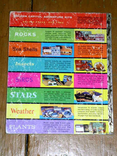 Birds of all Kinds, Little Golden Book, First Printing