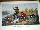 Currier & Ives - Wild Duck Shooting