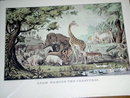 Currier & Ives - Adam Naming the Creatures