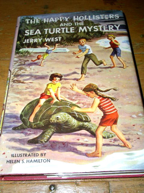 Happy Hollisters and the Sea Turtle Mystery Book