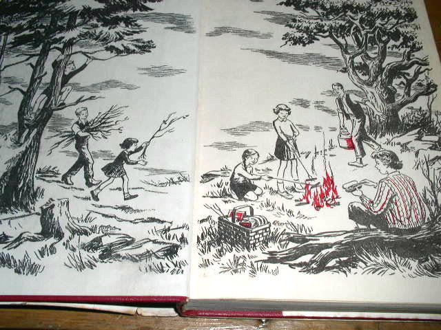 Happy Hollisters and the Punch and Judy Mystery Book