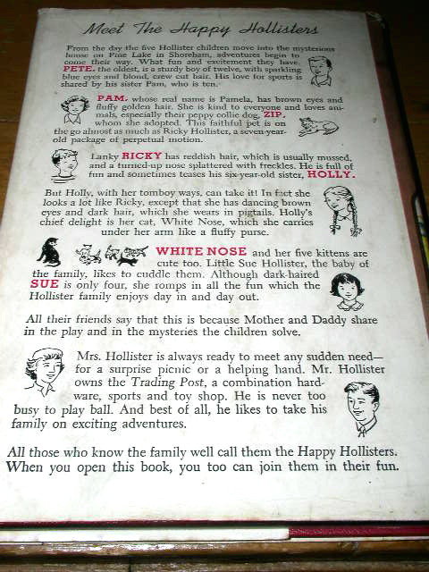 Happy Hollisters and the Punch and Judy Mystery Book