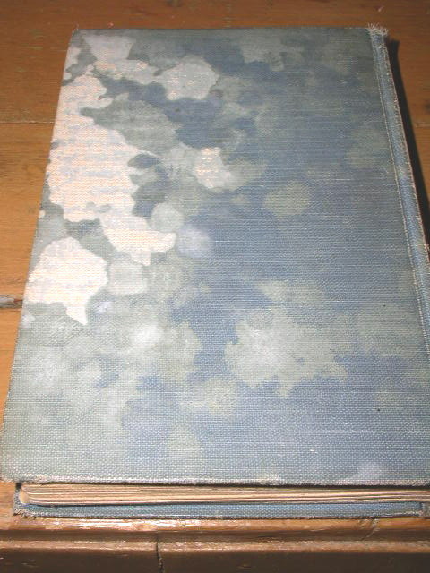 Polly of Pebbly Pit Book