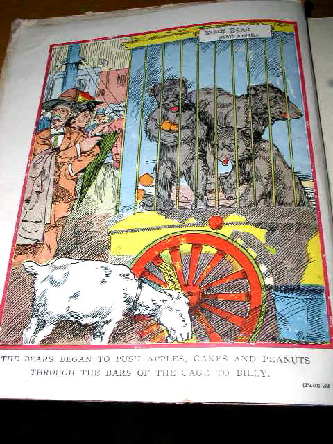 Billy Whiskers at the Circus Book