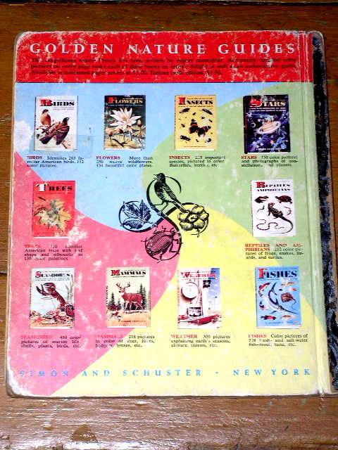 Brave Eagle, First Printing, Little Golden Book