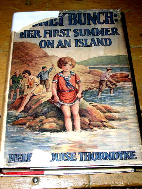 Honey Bunch: Her First Summer on an Island Book