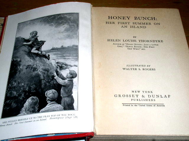 Honey Bunch: Her First Summer on an Island Book