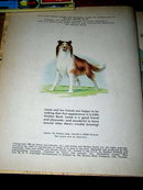 Lassie Shows the Way, First Printing, Little Golden Book
