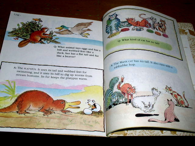 Animal Quiz Book, First Printing, Little Golden Book