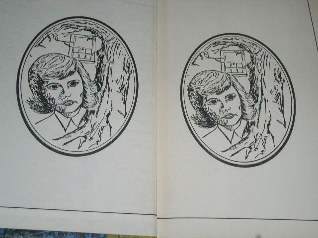 Nancy Drew, Password to Larkspur Lane Book