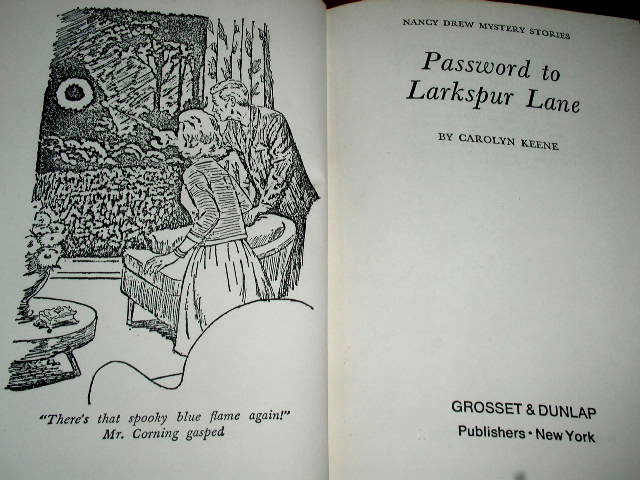 Nancy Drew, Password to Larkspur Lane Book
