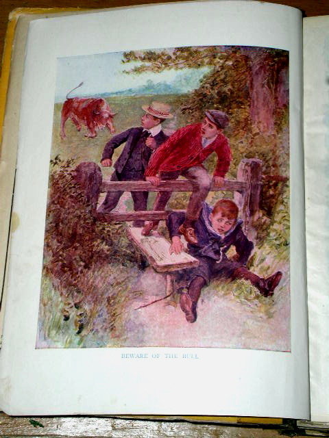 Chatterbox Book, 1911