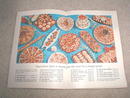 Betty Crocker's Bisquick Party Book - CK