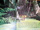 The Jungle Book, First Printing, Little Golden Book