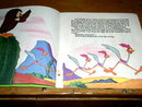 The Road Runner, A Very Scary Lesson, Book and Child's Record