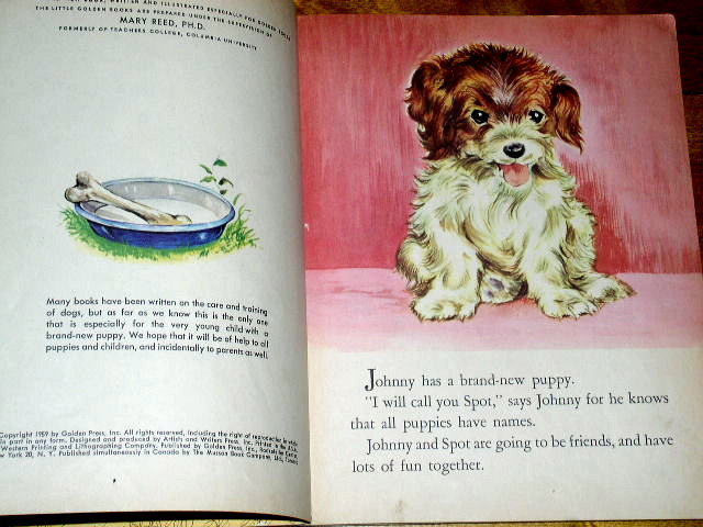 The New Puppy, Little Golden Book