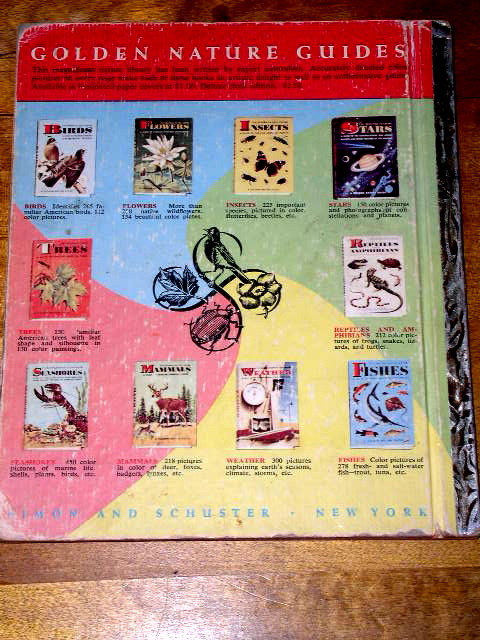 The Life and Legend of Wyatt Earp, Little Golden Book
