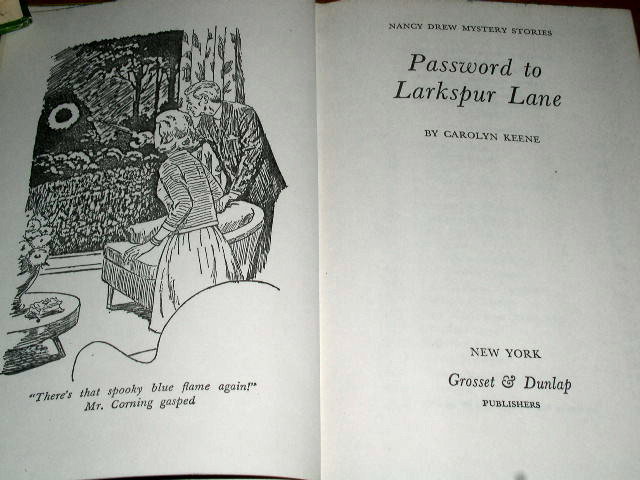 Nancy Drew, Password To Larkspur Lane Book