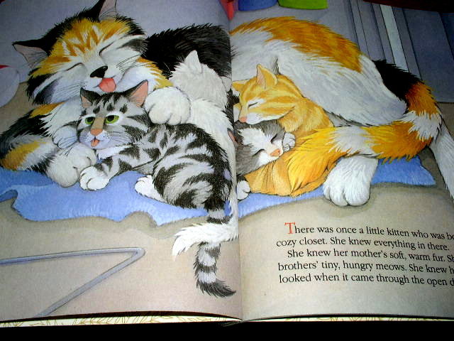 The Curious Little Kitten Around The House, Little Golden Book