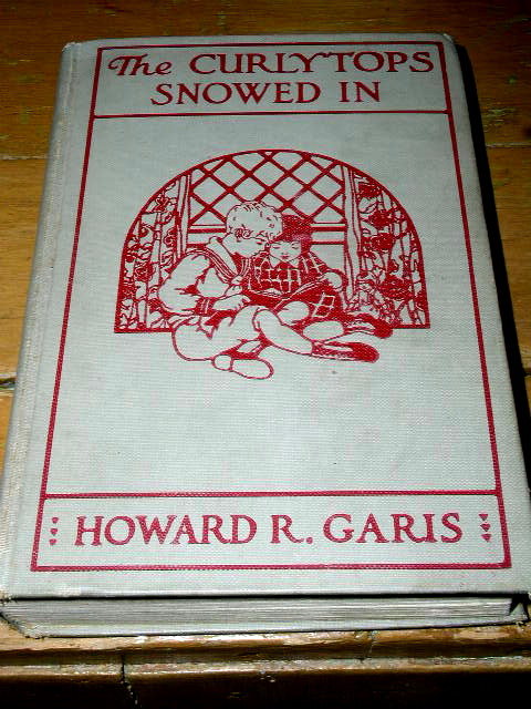 The CurlyTops Snowed In Book