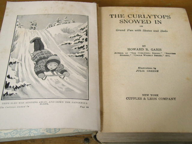 The CurlyTops Snowed In Book