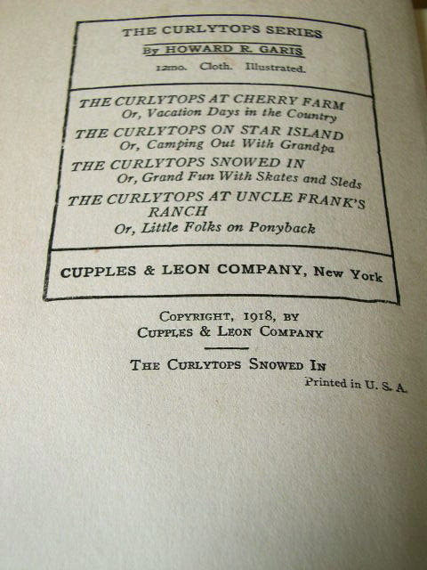 The CurlyTops Snowed In Book
