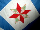 Appliqued Star Quilt Top - QTP