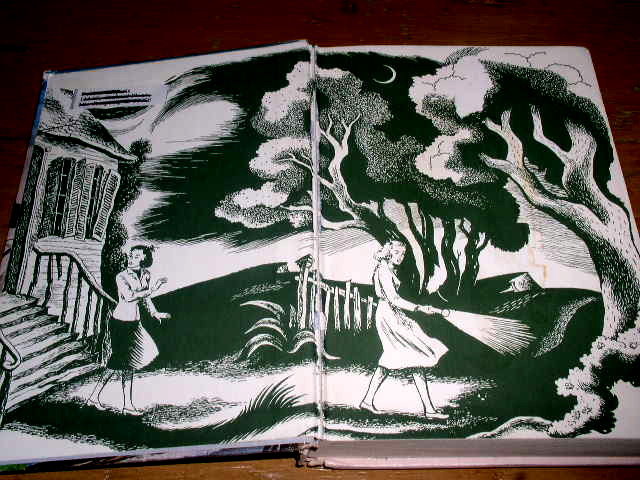 Dana Girls Book, In the Shadow of the Tower