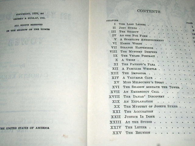 Dana Girls Book, In the Shadow of the Tower