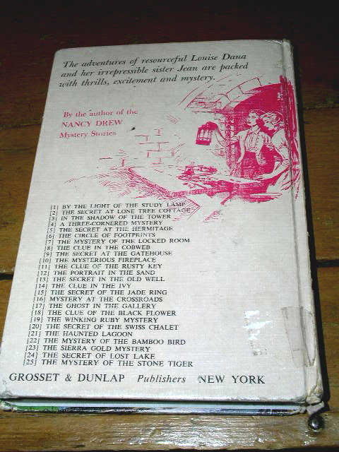 Dana Girls Book, In the Shadow of the Tower