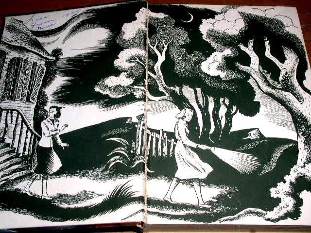 Dana Girls Book, The Mystery of the Locked Room