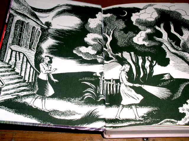 Dana Girls Book, The Circle of Footprints