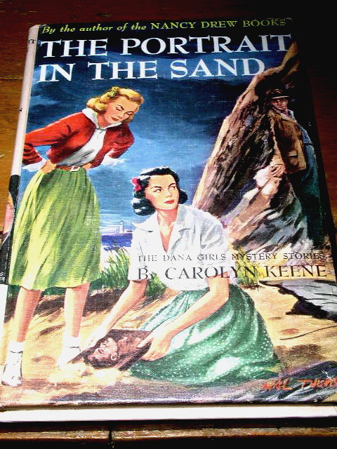 Dana Girls Book, The Portrait in the Sand