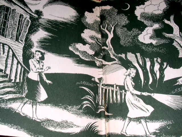 Dana Girls Book, The Haunted Lagoon